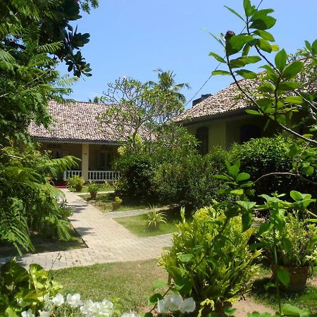 Top Of The Hill Guesthouse Weligama Exterior foto