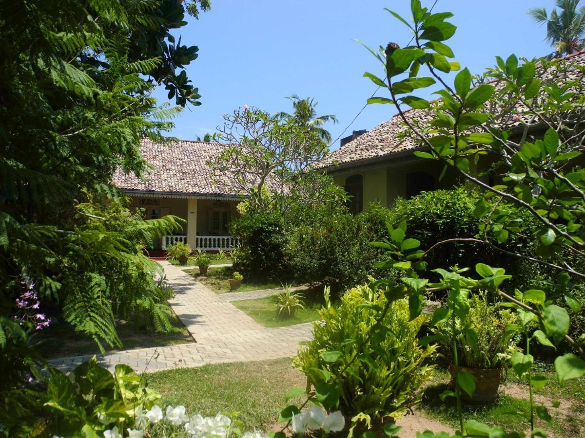 Top Of The Hill Guesthouse Weligama Exterior foto