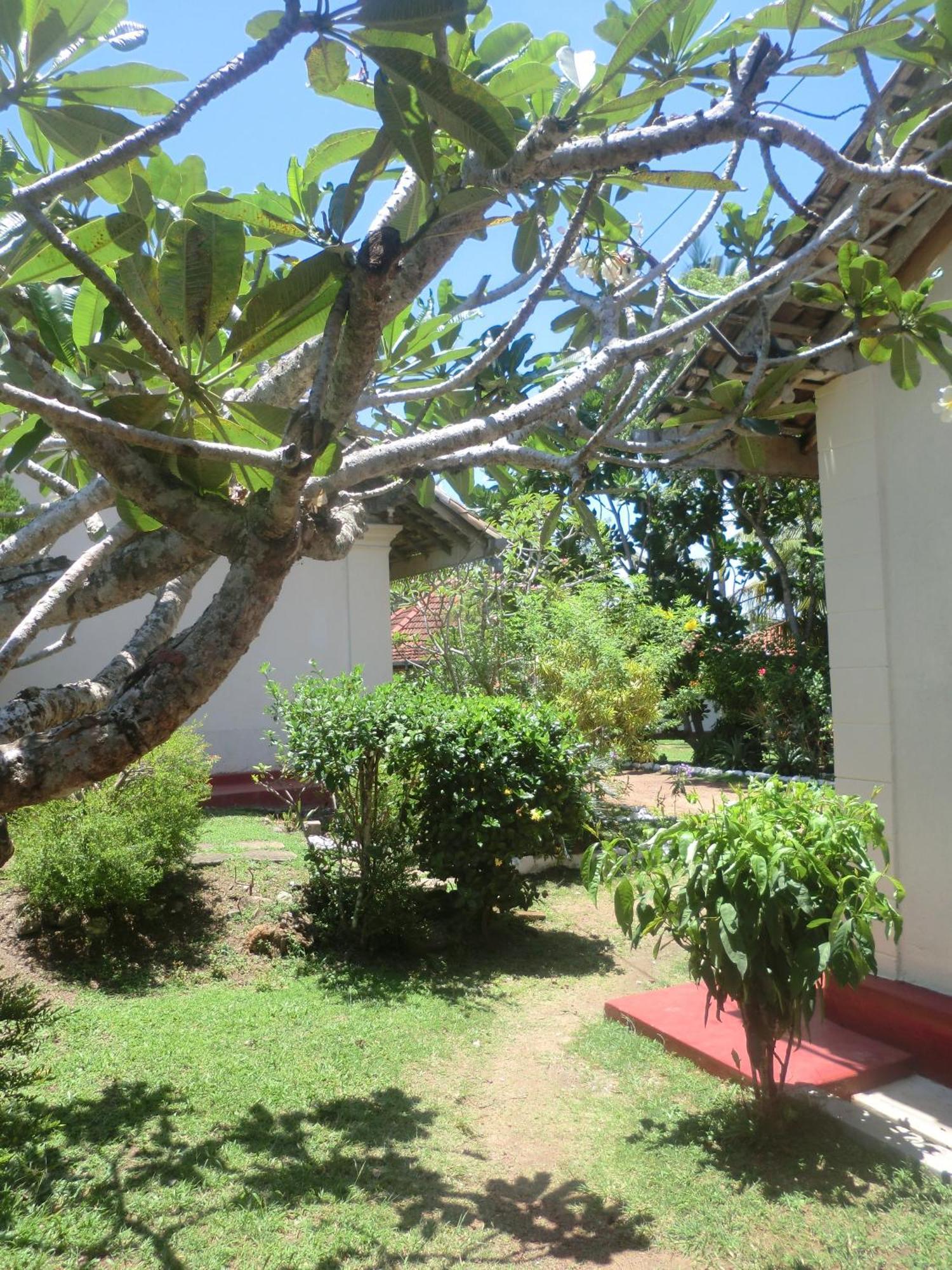 Top Of The Hill Guesthouse Weligama Exterior foto