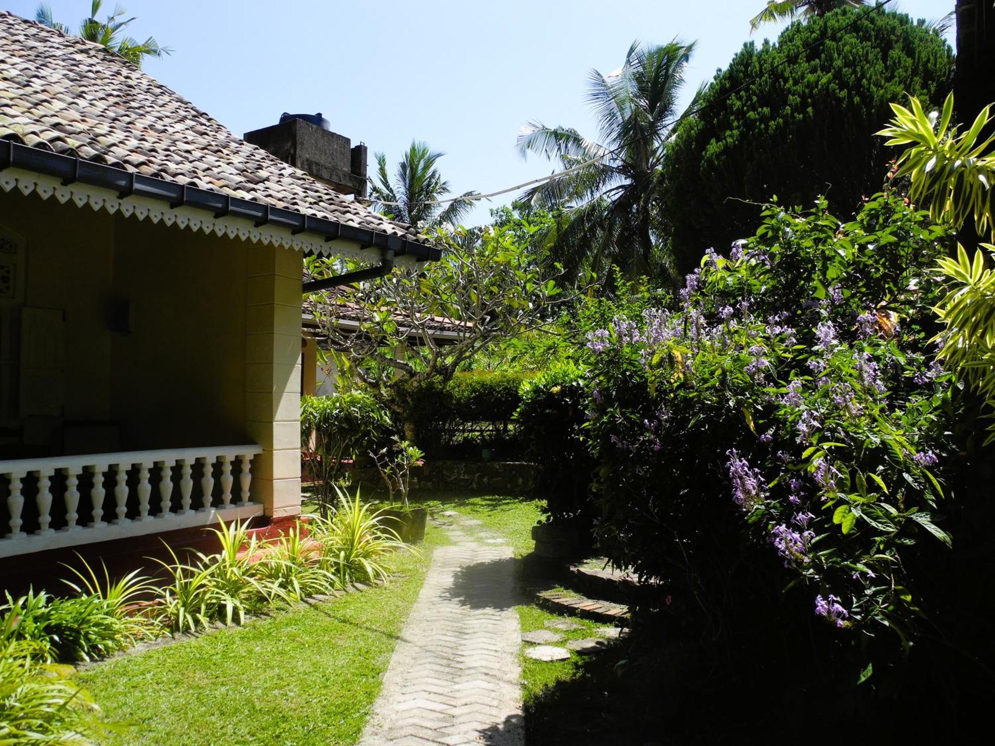 Top Of The Hill Guesthouse Weligama Exterior foto