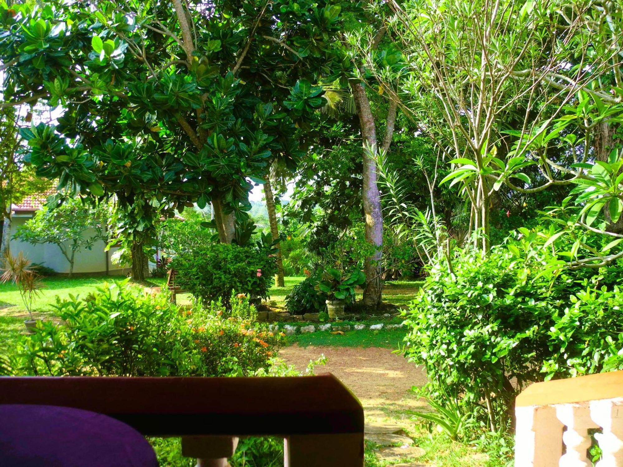 Top Of The Hill Guesthouse Weligama Habitación foto
